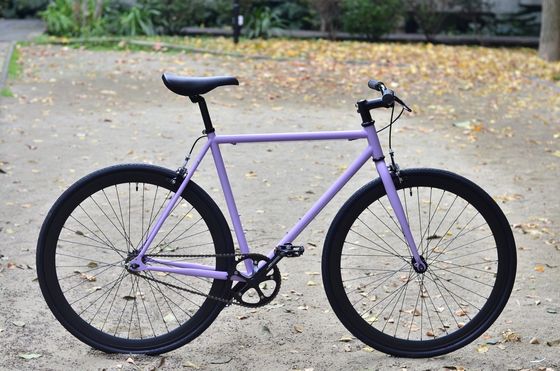 1.6m Length OEM Colorful 700C Adult Road Racing Light Weight Single Speed Fixie Fixed Gear Bike